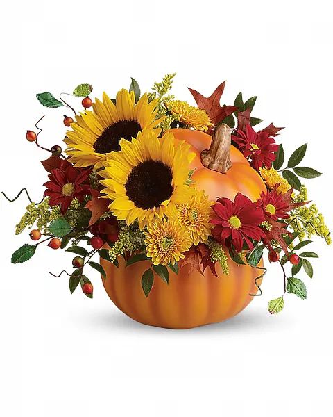 Sunshine in a Pumpkin