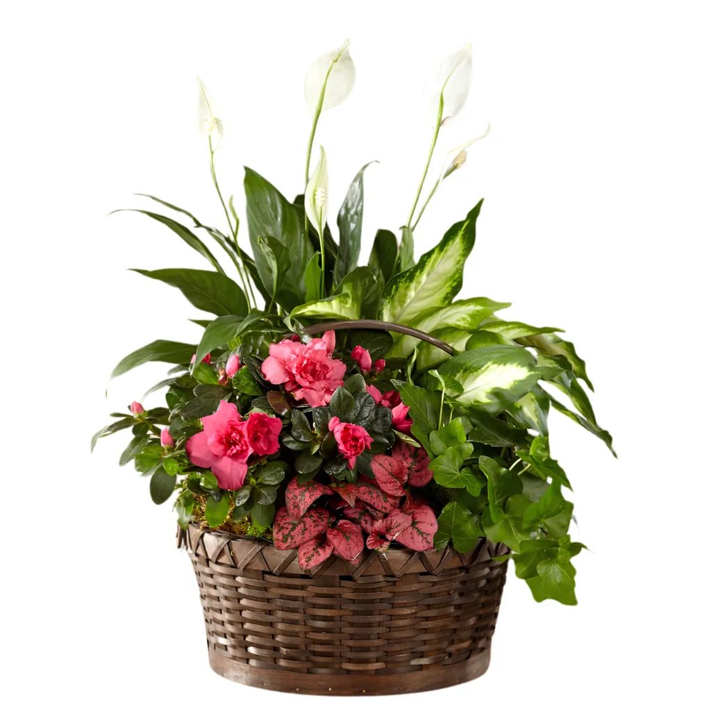 Blooming Garden Basket