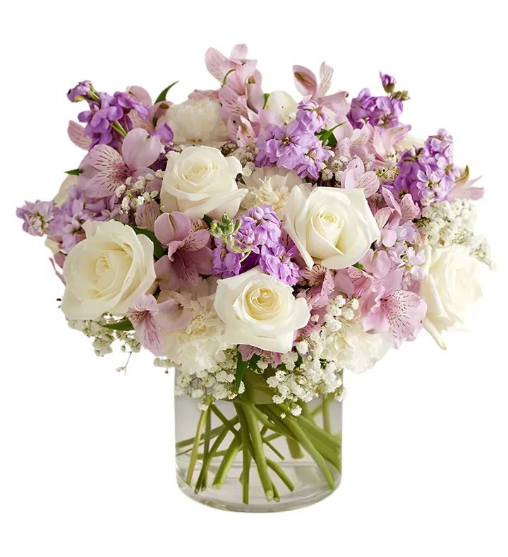 Medley of Lavenders