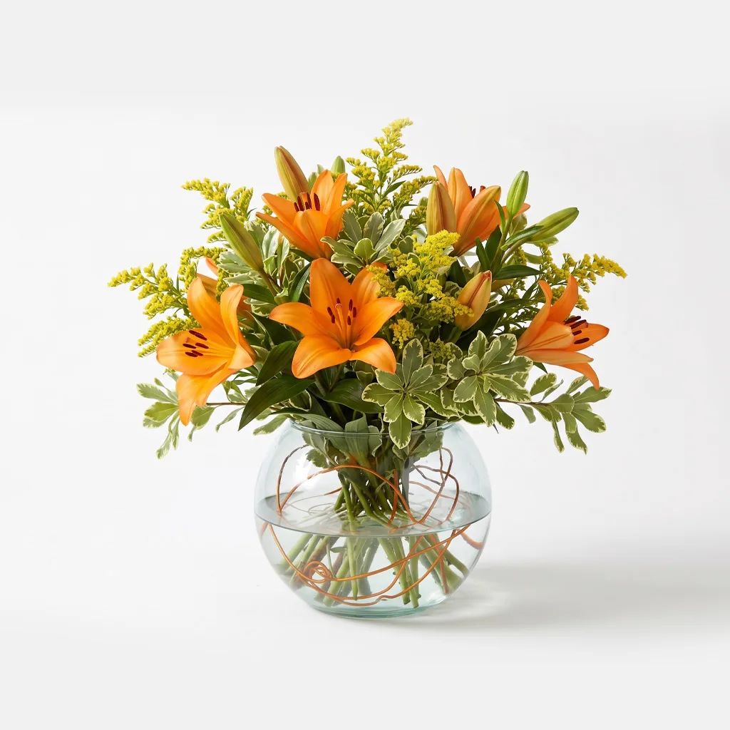 Orange Lily Sorbet