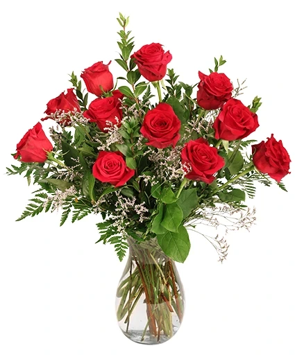 Burning Red Roses Burning Red Roses