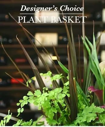 Designer's Choice Planter