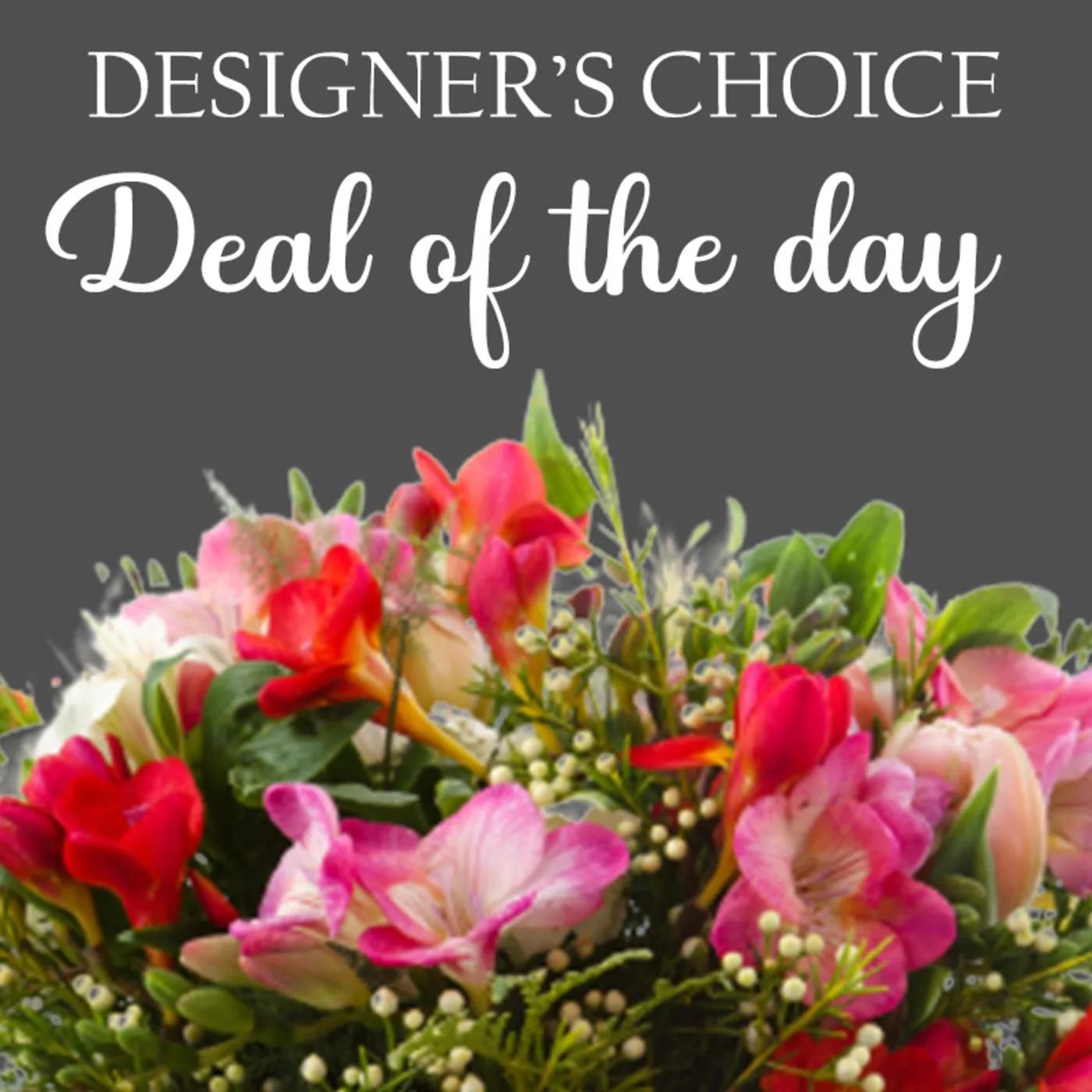 Designer's Choice Deal of the Day