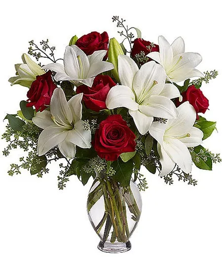 Lovely Lily Lovely Lily