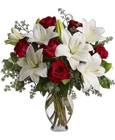Lovely Lily