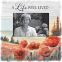 LIFE WELL LIVED FRAME image
