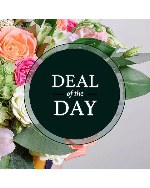 Designer's Choice Deal of the Day Designer's Choice Deal of the Day