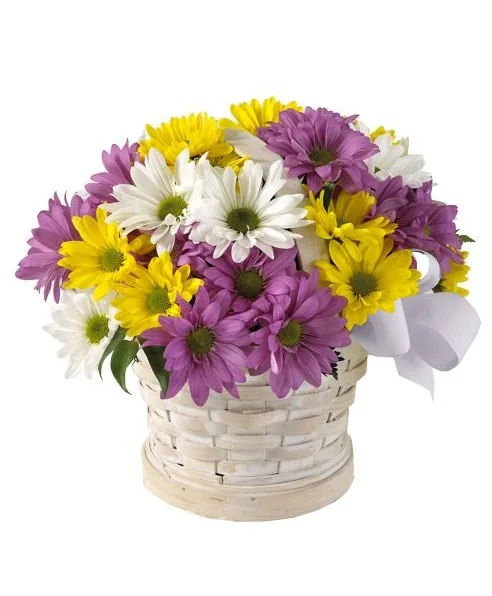 Colorful Daisy Baskey Colorful Daisy Baskey