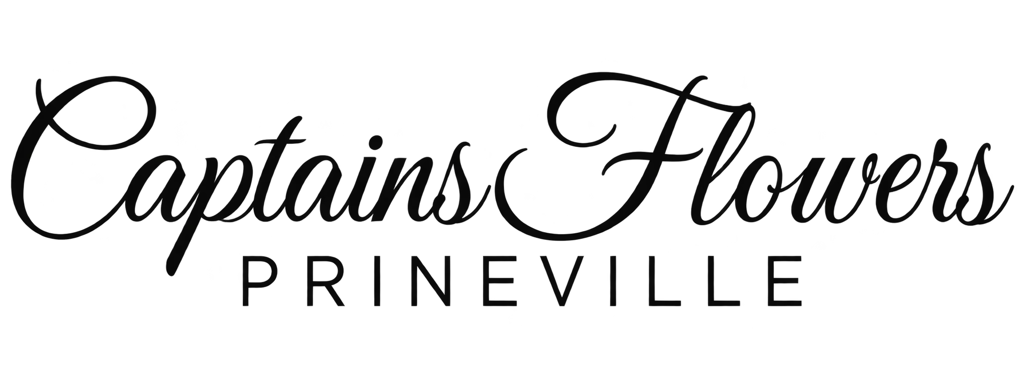 company logo company logo
