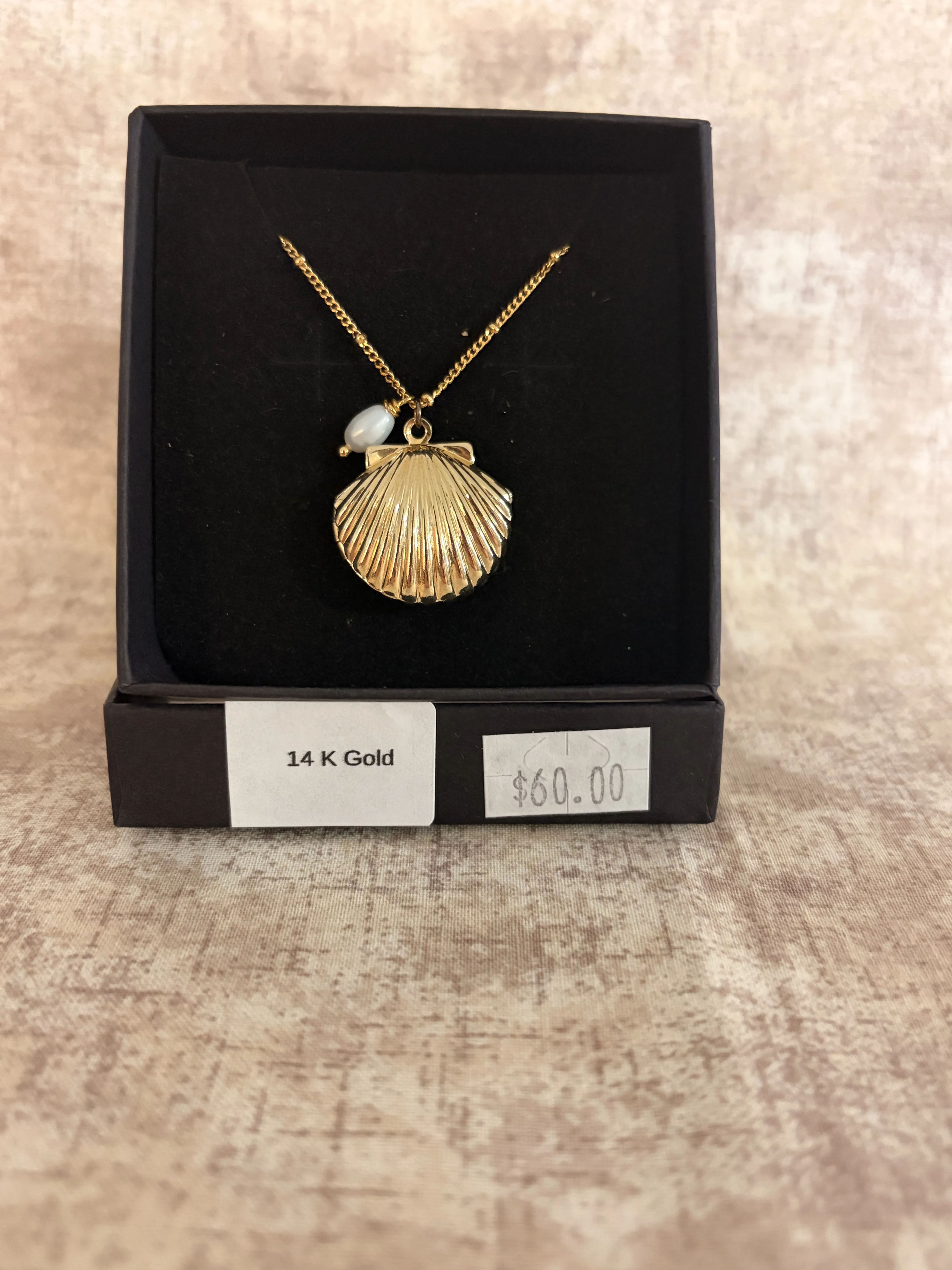 Jewelry, Gold Clam Shell Necklace Jewelry, Gold Clam Shell Necklace