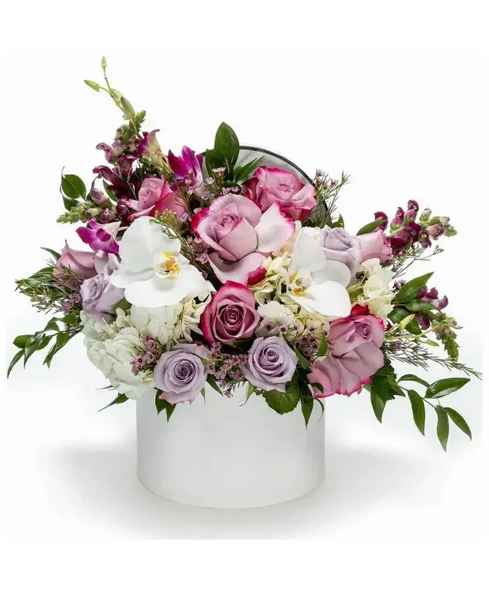 Designers Choice Hotbox arrangement Arrangements Designers Choice Hotbox arrangement Arrangements