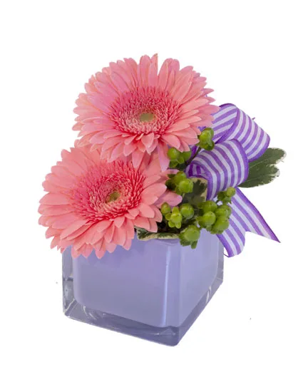 Petite Gerberas Floral Design Petite Gerberas Floral Design