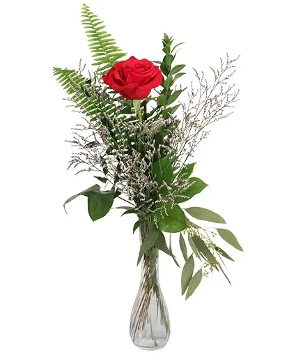 Single Red Bud Vase Rose Arrangement Single Red Bud Vase Rose Arrangement