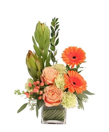 Friendly Sorbet Floral Design