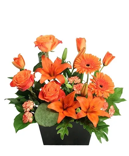 Bonfire Blaze Floral Design Bonfire Blaze Floral Design