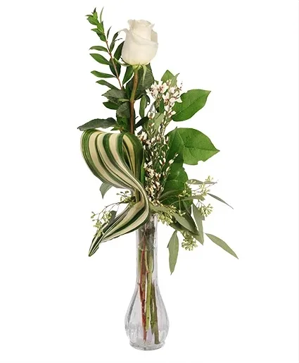 Single Ivory Bud Vase Rose Arrangement Single Ivory Bud Vase Rose Arrangement