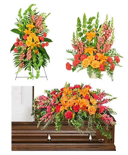 Golden Triumph Sympathy Collection Golden Triumph Sympathy Collection