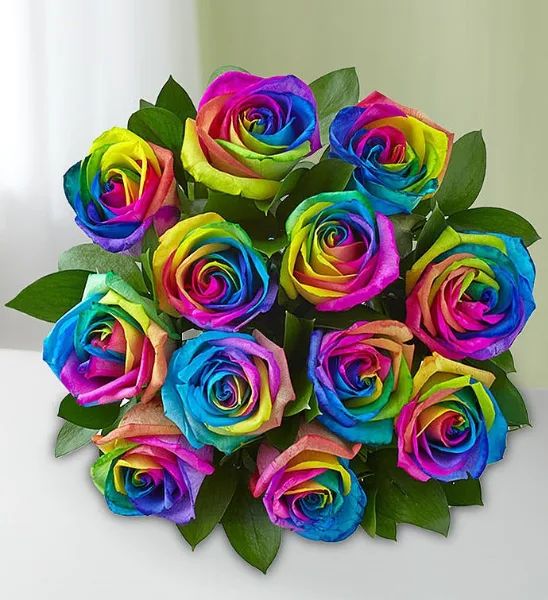 Rainbows Roses