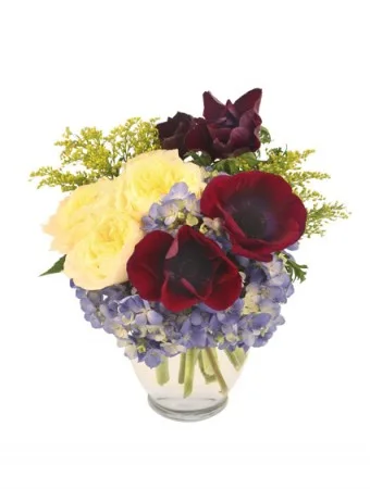 Abracadabra! Bouquet Abracadabra! Bouquet