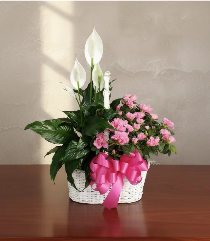 Double Plant Basket Plants Double Plant Basket Plants