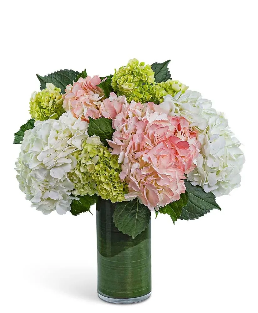 Hydrangea Glow Flower Arrangement Hydrangea Glow Flower Arrangement