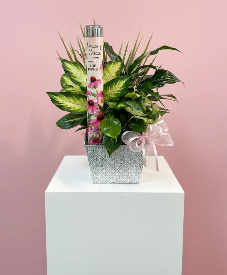 Amazing Grace Planter Green Plant Amazing Grace Planter Green Plant