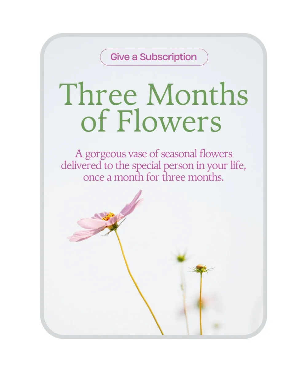 Bouquet of the Month Club (3) Flower Arrangement Bouquet of the Month Club (3) Flower Arrangement