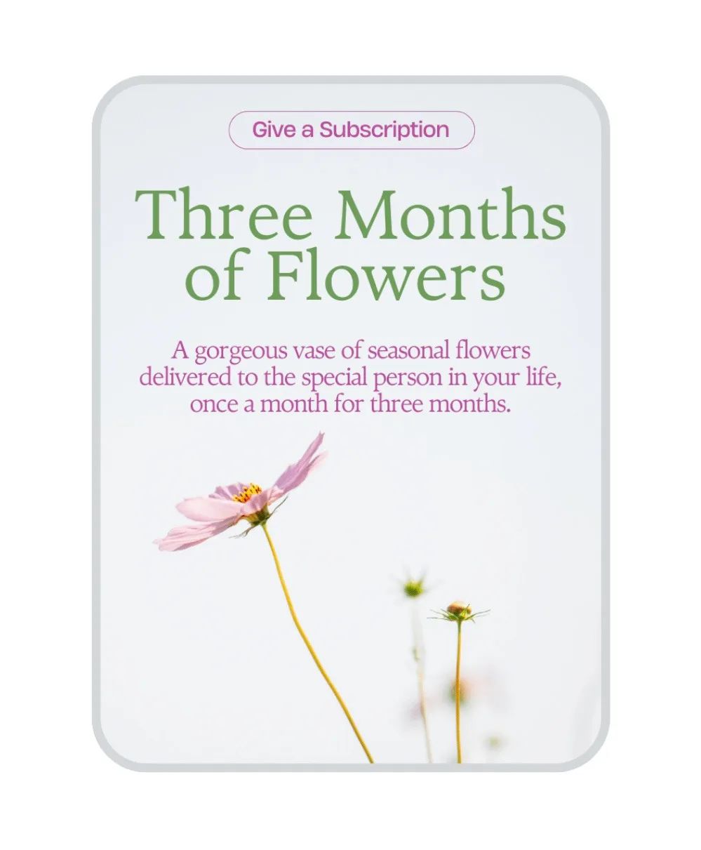 Bouquet of the Month Club (3) Flower Arrangement