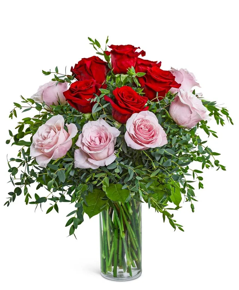 One Dozen Perfect Pink and Red Roses Flower Arrangement One Dozen Perfect Pink and Red Roses Flower Arrangement