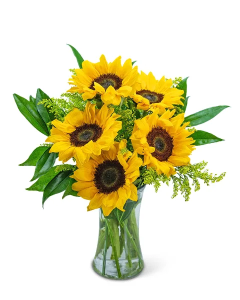 Sprinkle of Sunflowers Flower Arrangement Sprinkle of Sunflowers Flower Arrangement