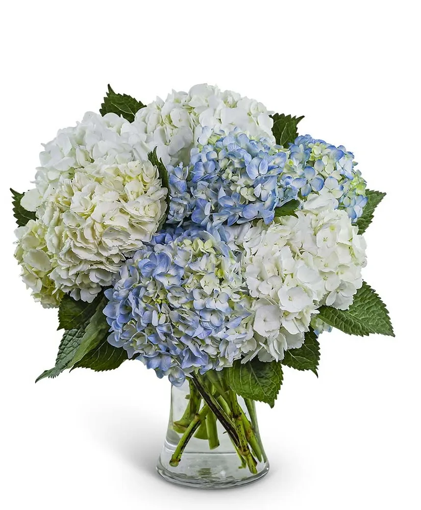 Lovely Lush Hydrangea Flower Arrangement Lovely Lush Hydrangea Flower Arrangement