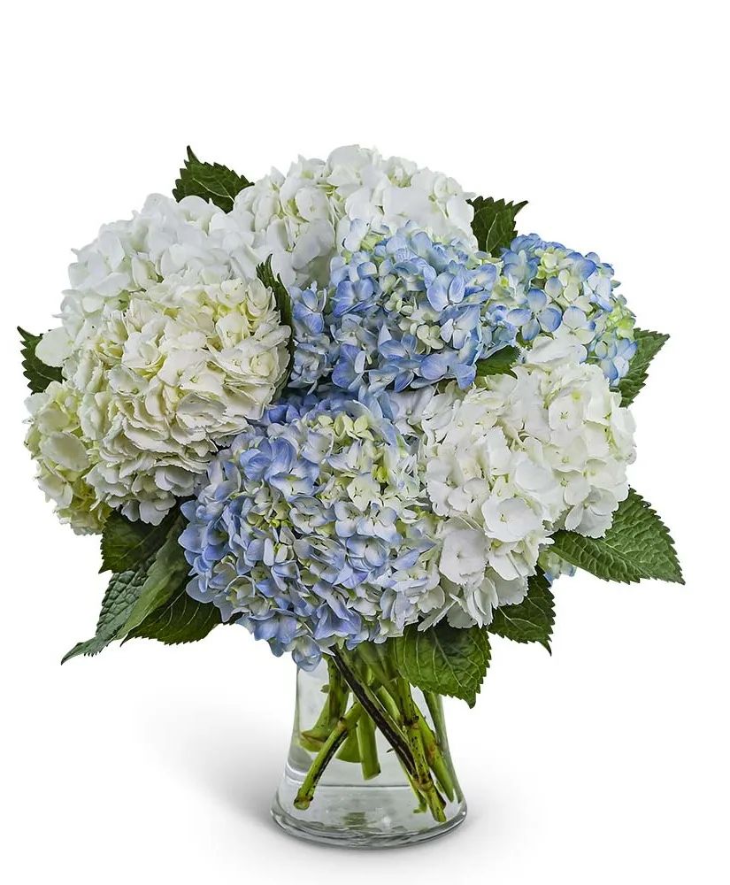 Lovely Lush Hydrangea Flower Arrangement