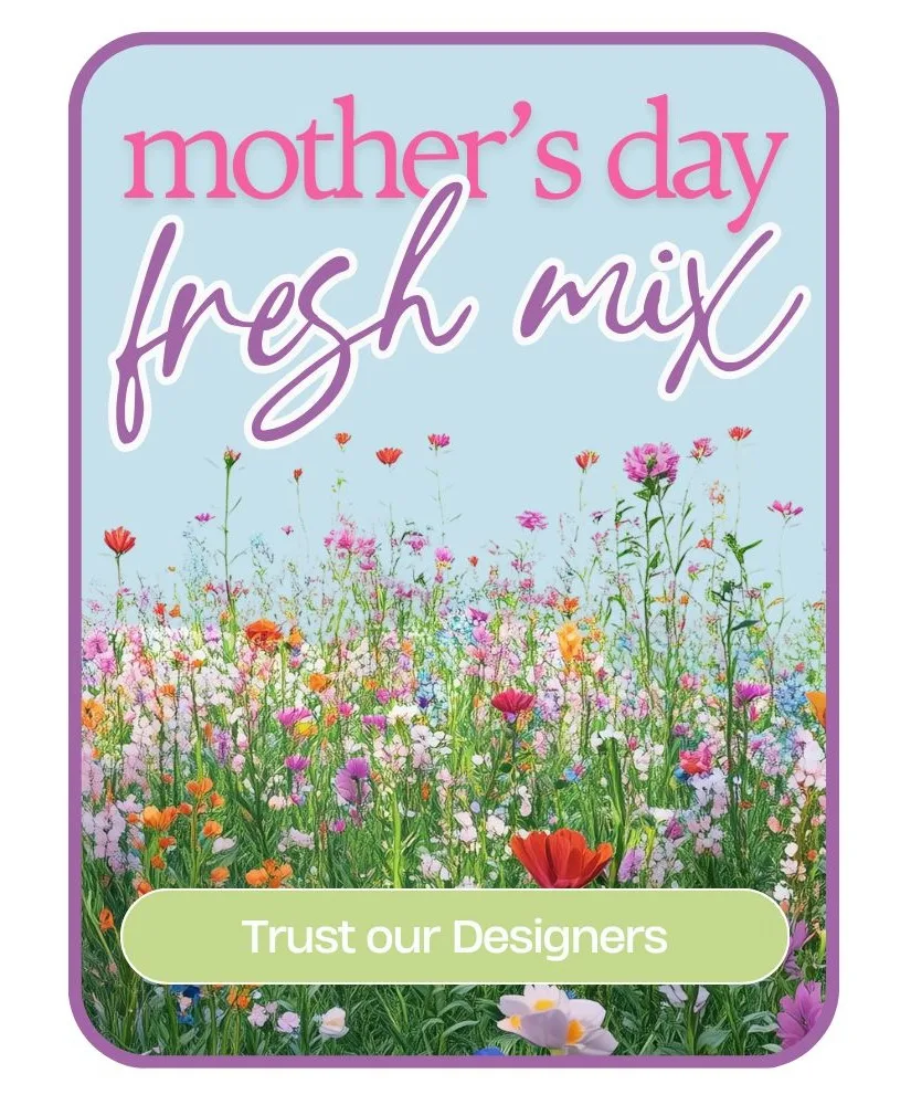 Designer's Choice Mother's Day Arrangement Flower Arrangement Designer's Choice Mother's Day Arrangement Flower Arrangement