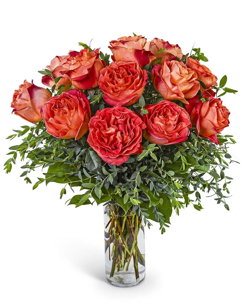 One Dozen Wild Spirit Roses Flower Arrangement One Dozen Wild Spirit Roses Flower Arrangement