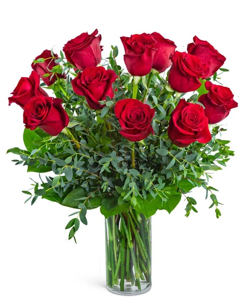 One Dozen Red Hot Roses Flower Arrangement