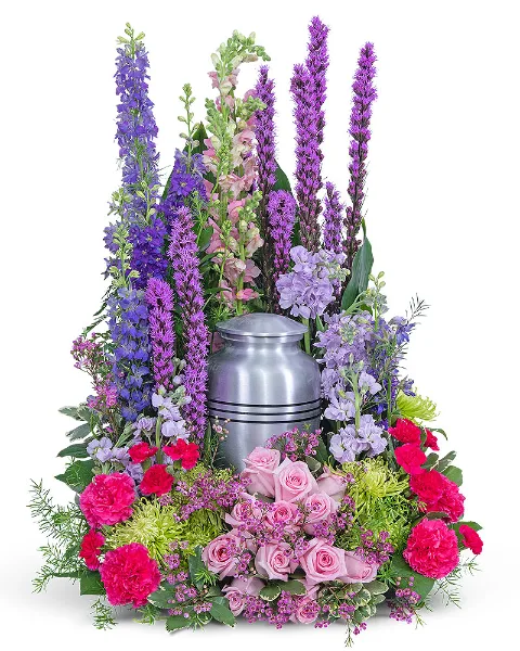 Garden of Life Surround Sympathy Garden of Life Surround Sympathy