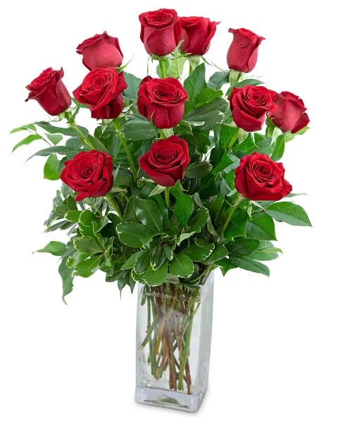 Classic Dozen Red Roses Flower Arrangement Classic Dozen Red Roses Flower Arrangement