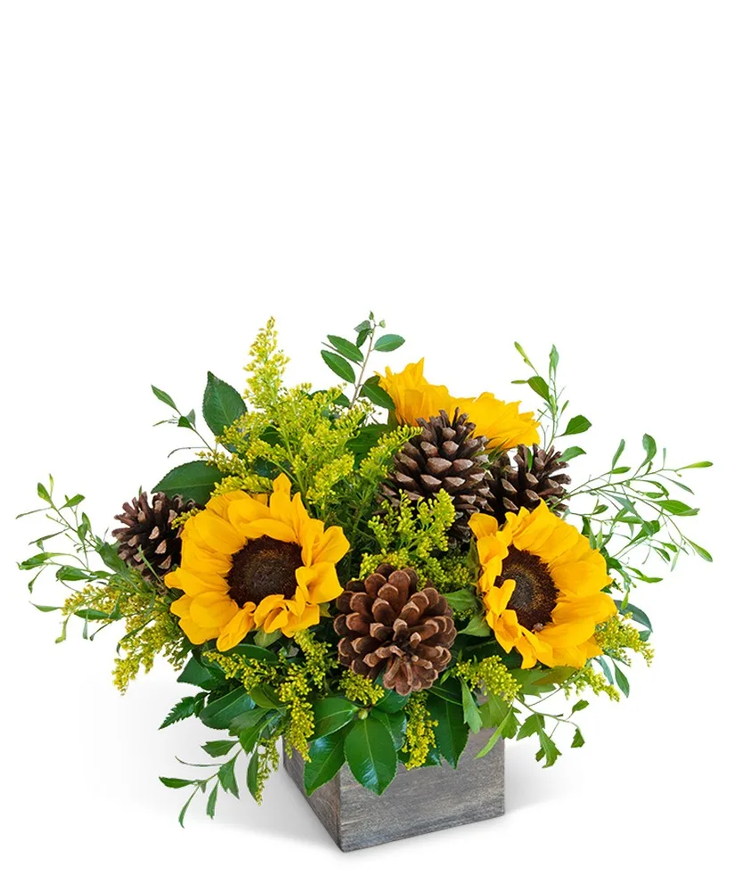 Harvest Sunburst Beauty Flower Arrangement Harvest Sunburst Beauty Flower Arrangement
