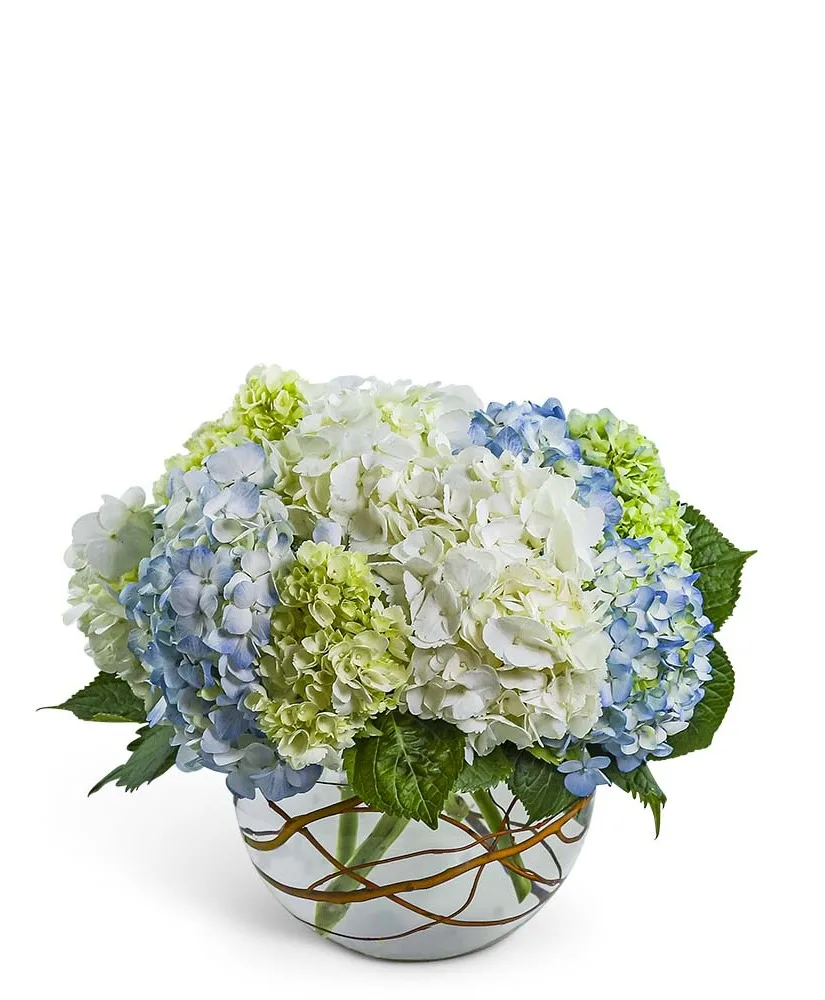 Modern Hydrangea Flower Arrangement Modern Hydrangea Flower Arrangement