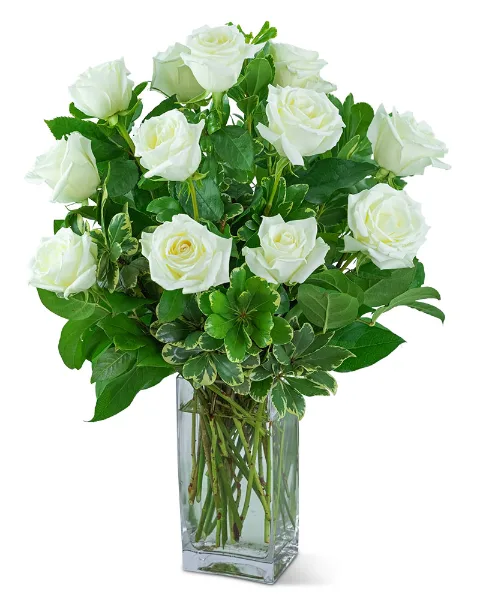 White Roses (12) Flower Arrangement White Roses (12) Flower Arrangement
