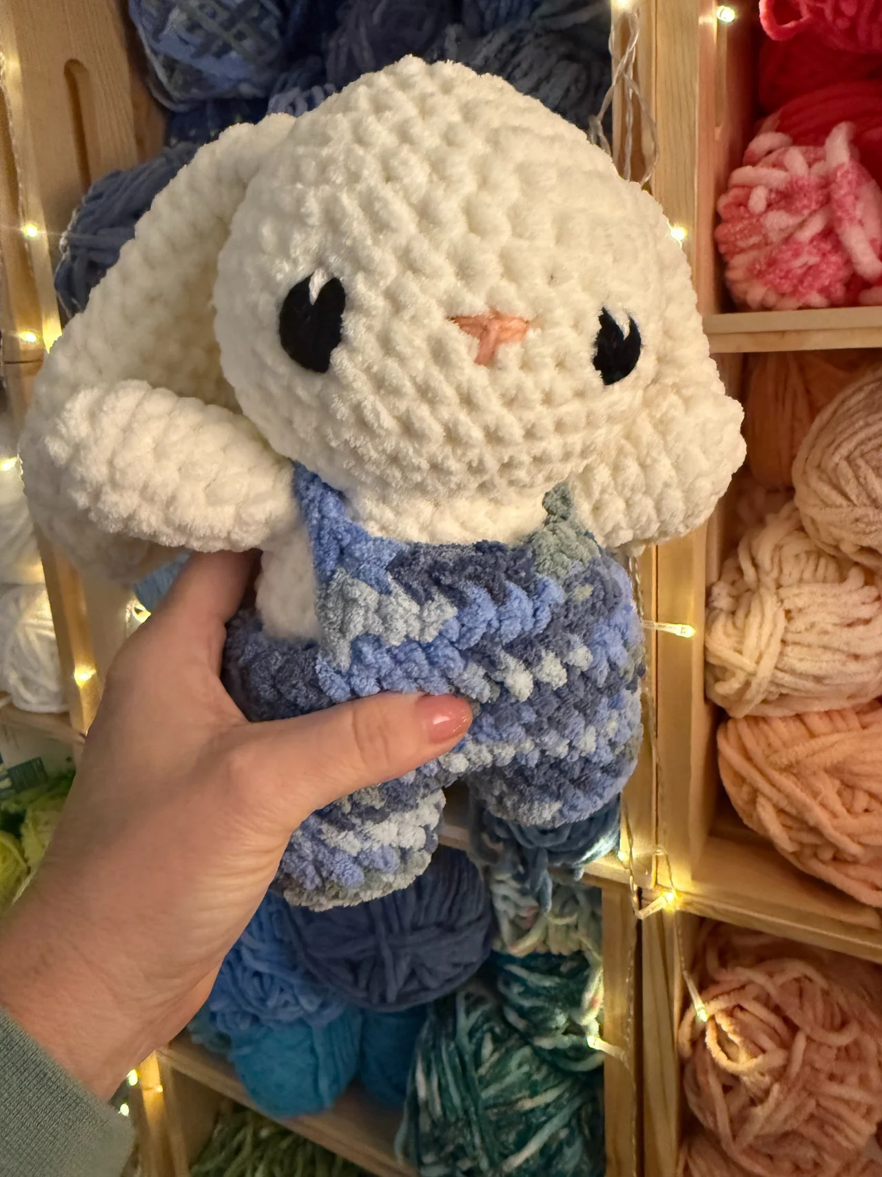Dressed Bunny Dressed Bunny