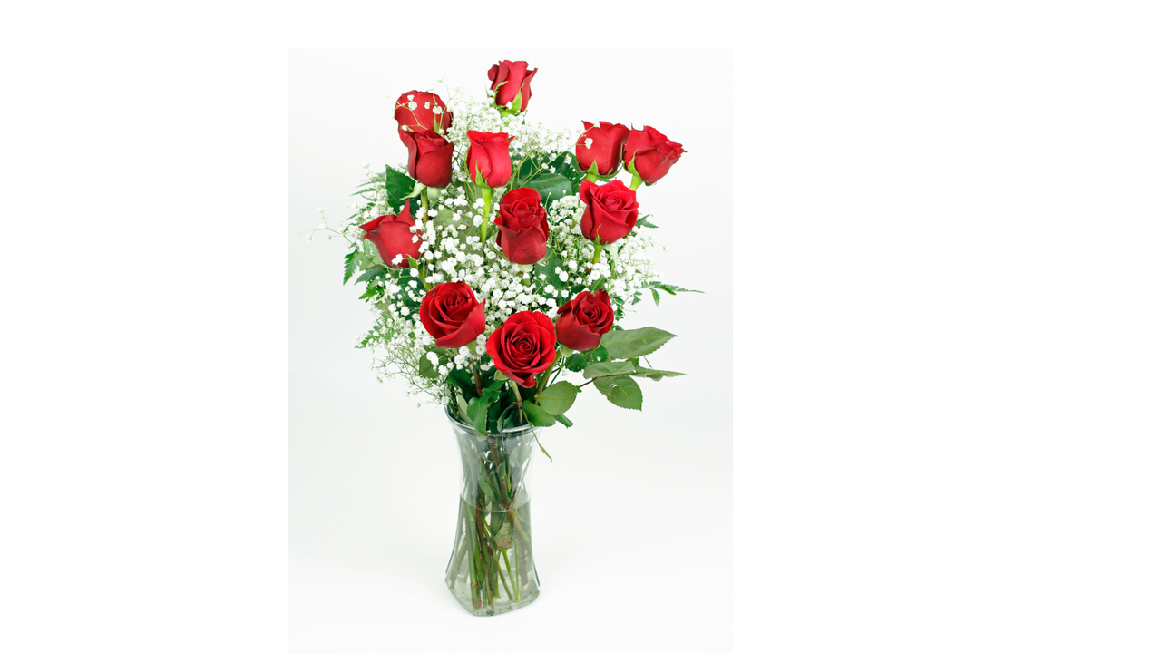 Dozen Roses with Baby's Breath & Greens Dozen Roses with Baby's Breath & Greens