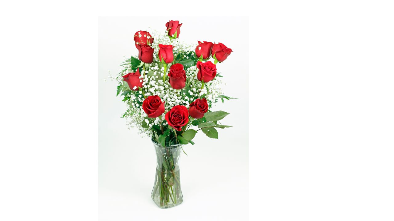 Dozen Roses with Baby's Breath & Greens