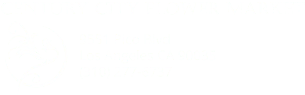 company logo company logo