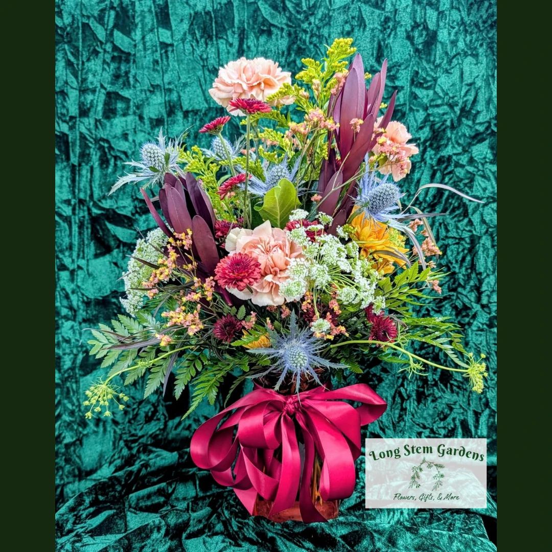 collection image