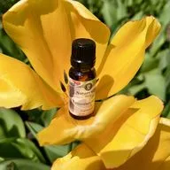 Essential Oils Essential Oils image