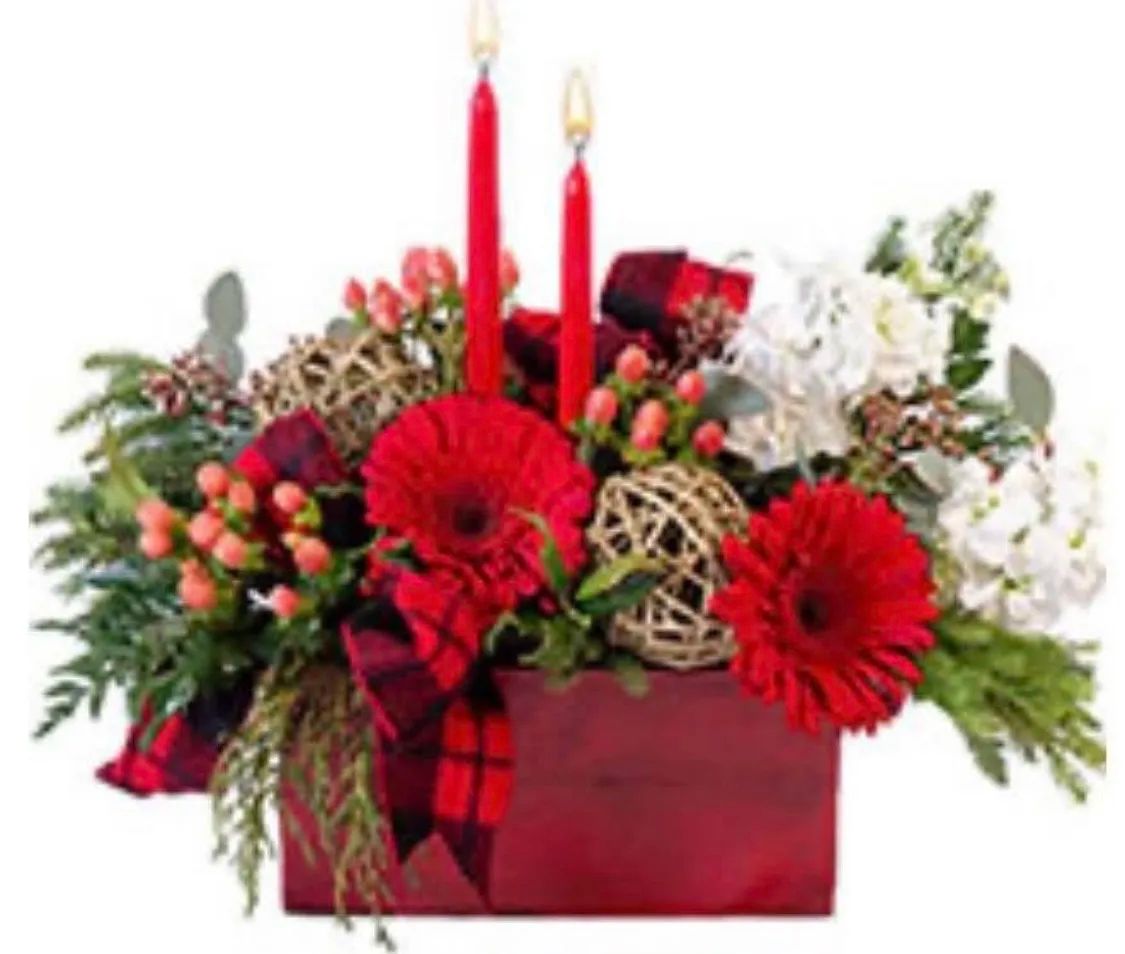 Cozy Holiday