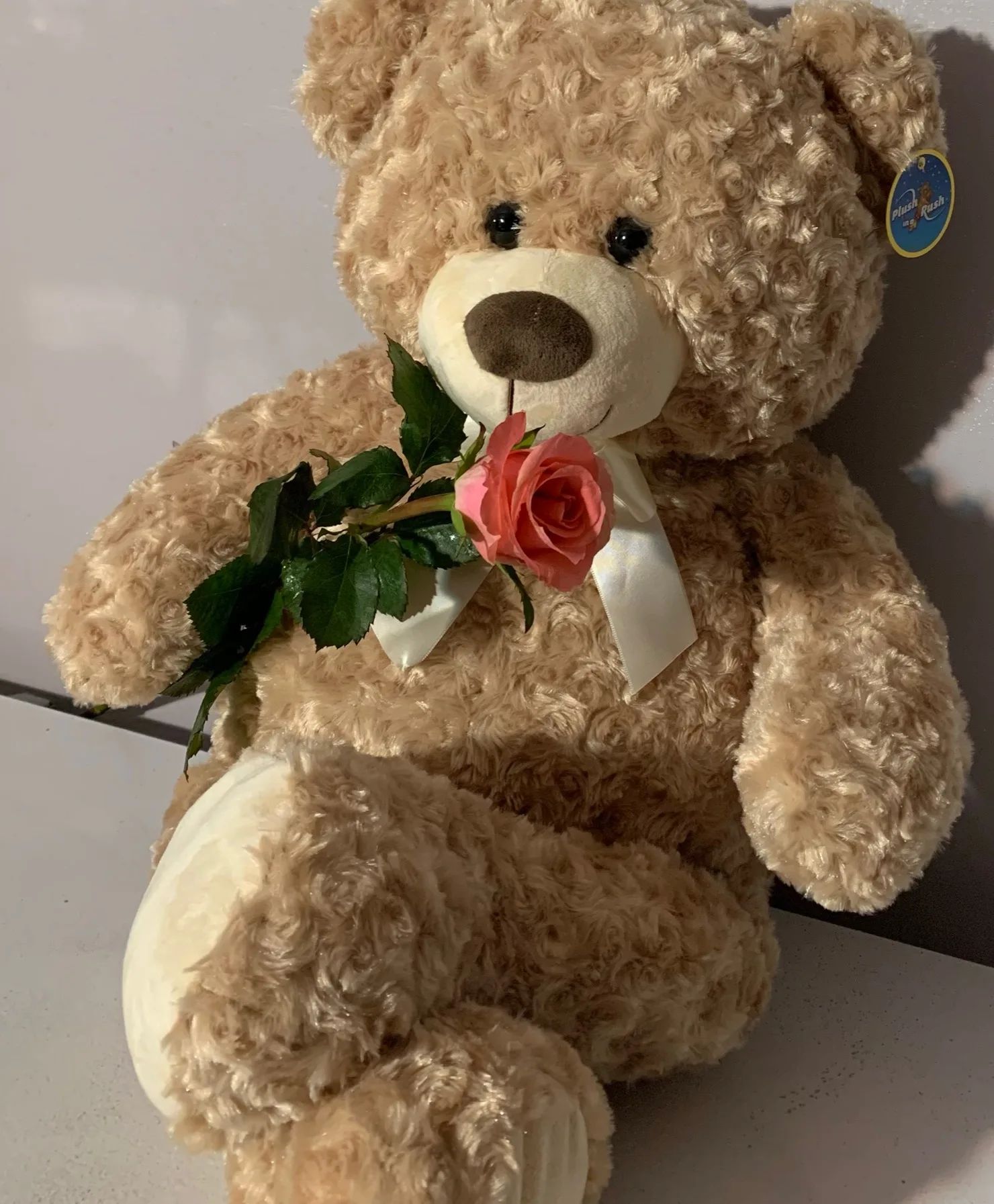 LARGE TEDDY BEAR WITH ROSES Gifts