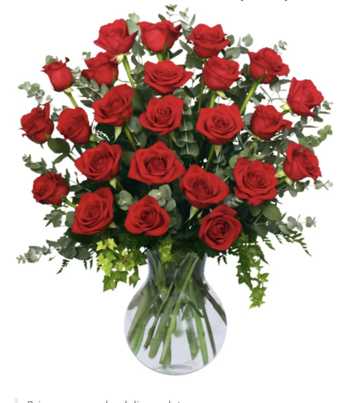 Timeless Twelve Roses Timeless Twelve Roses