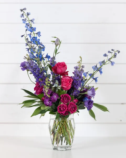 Gemma Modern, Vibrant, Jewel-Toned Gemma Modern, Vibrant, Jewel-Toned
